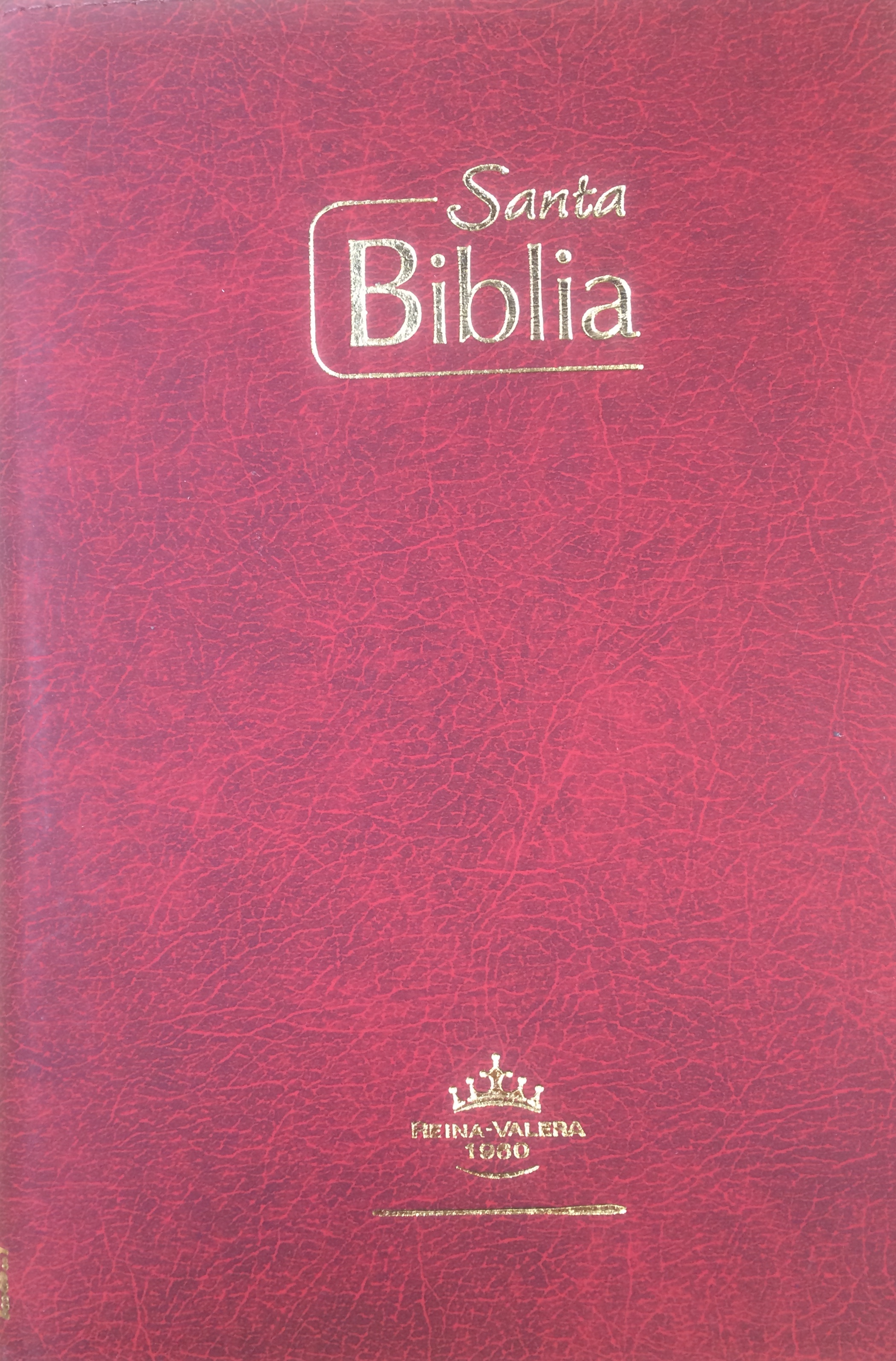Biblia Tamaño65CZ Tipo Agenda Vinotinto