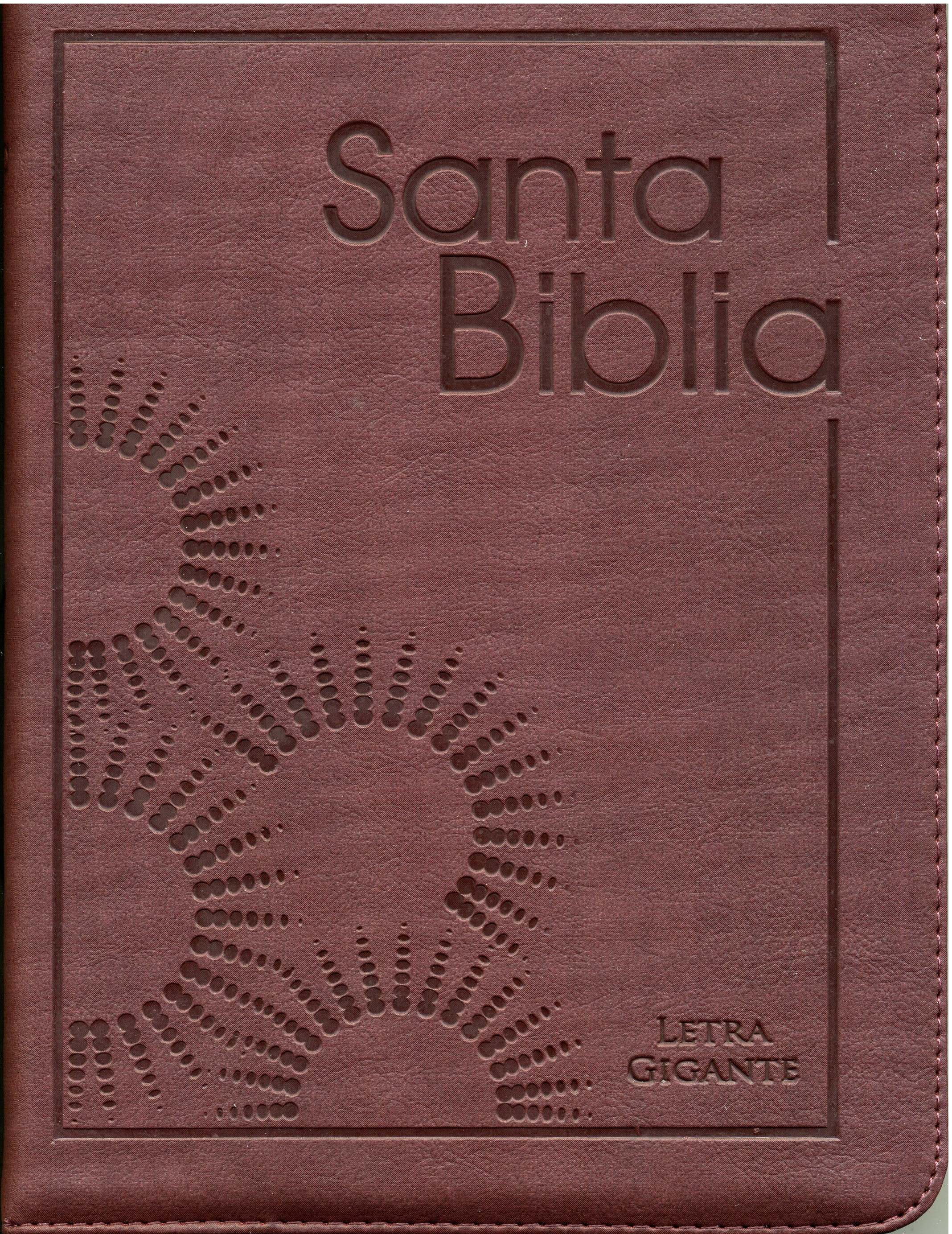 Biblia Tamaño 85CZLGi Letra Gigante