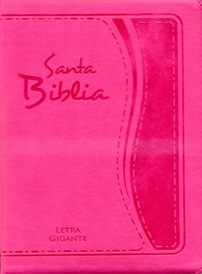 Biblia Tamaño85 CZTILGi - Letra Gigante Con Indice - Fucsia