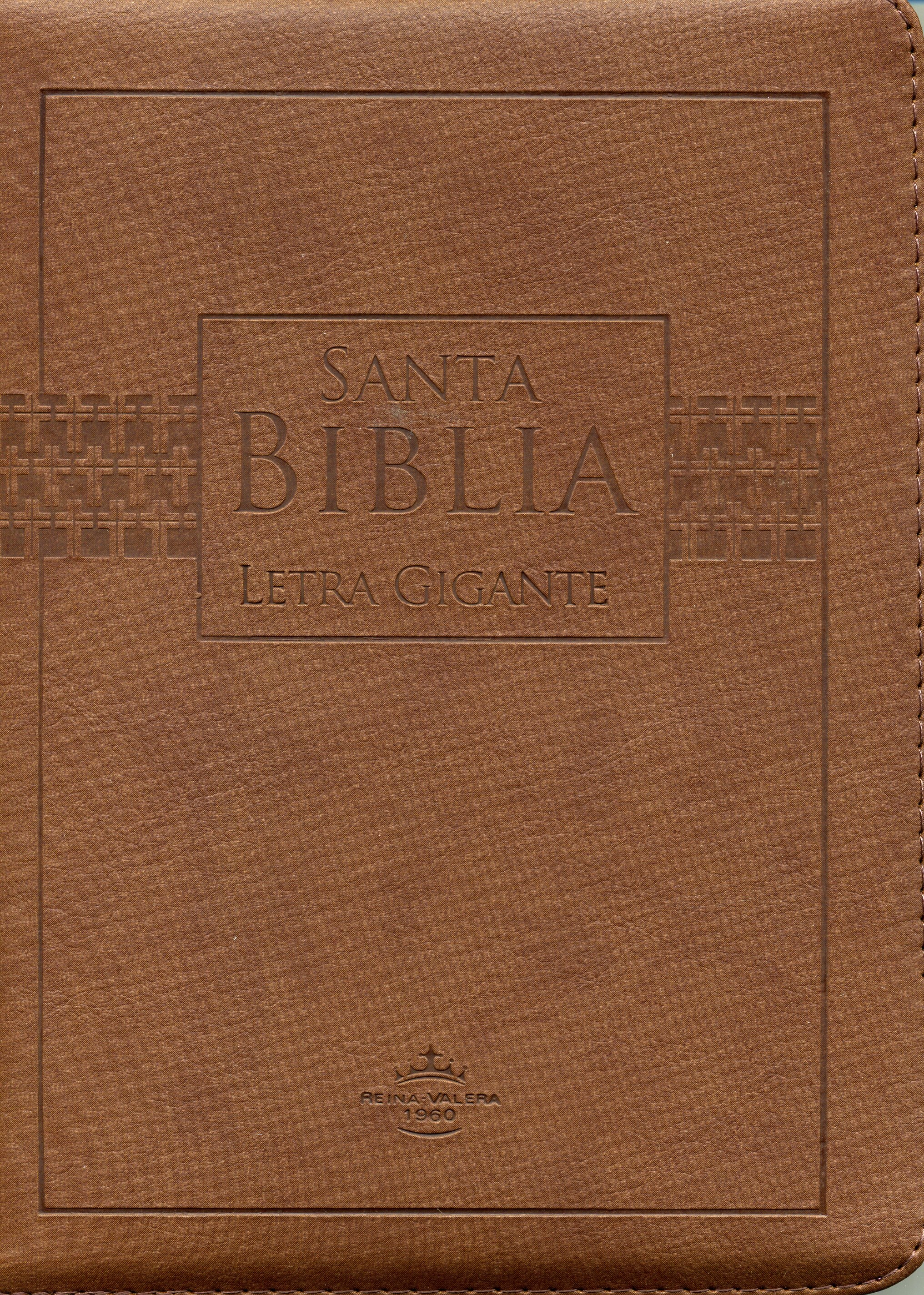 Biblia RVR60 Tamaño 85CZTILGi Letra Gigante