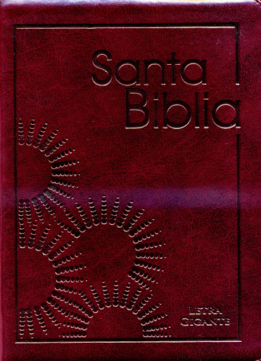 Biblia Tamaño 85 Letra Gigante Flexible Con Indice Cierre Vino-tinto