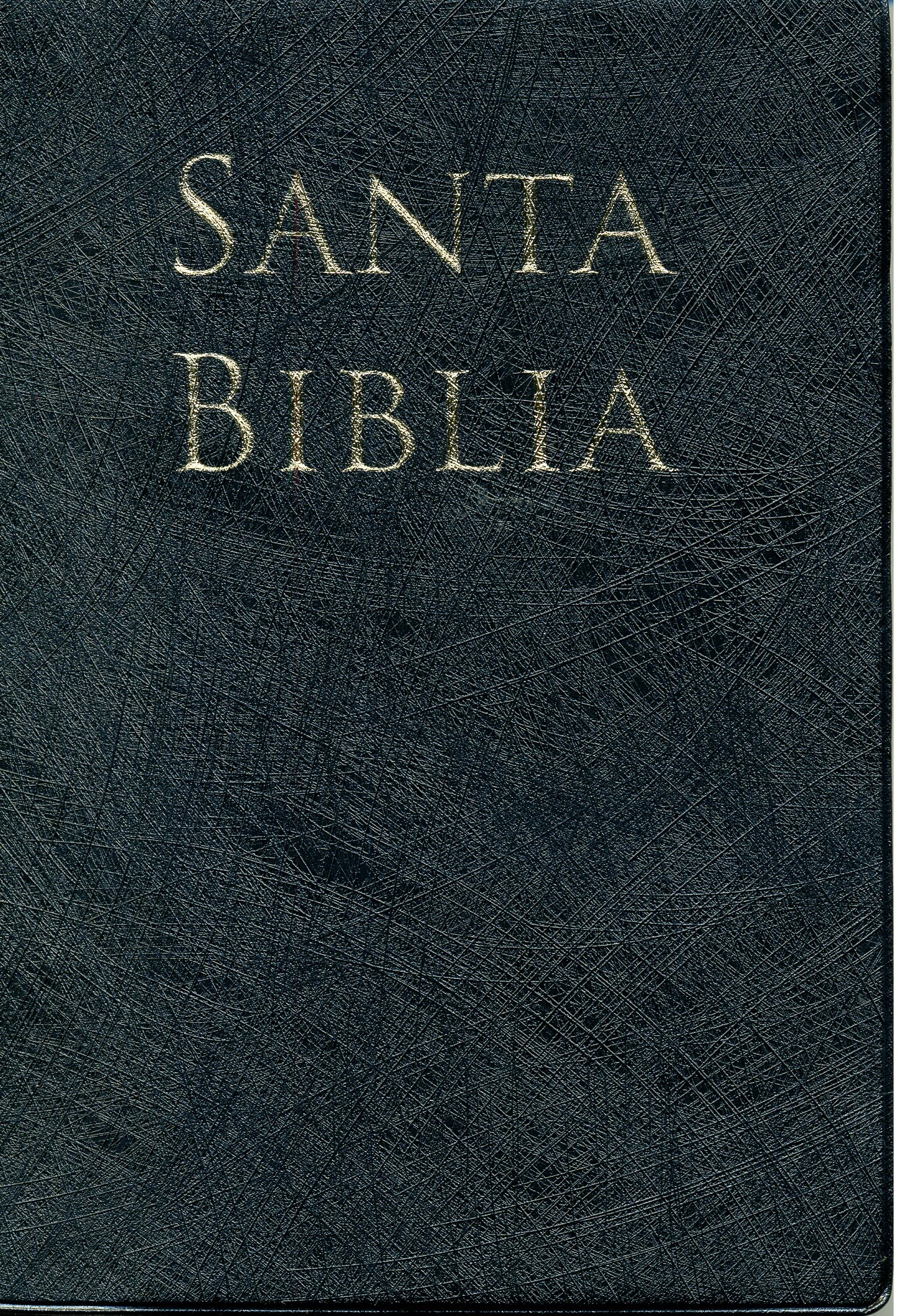 Biblia Letra Grande Manual Negro