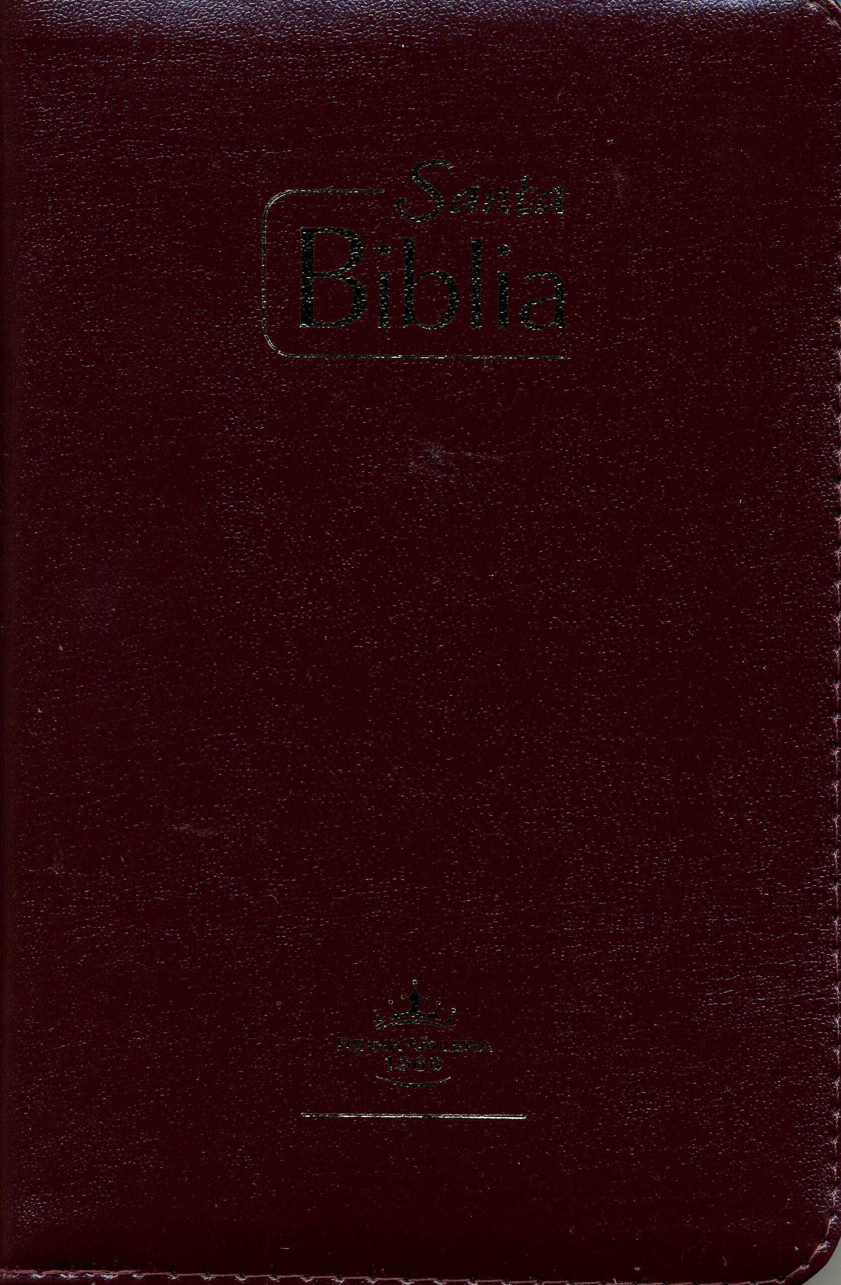 Biblia Misionera Vino