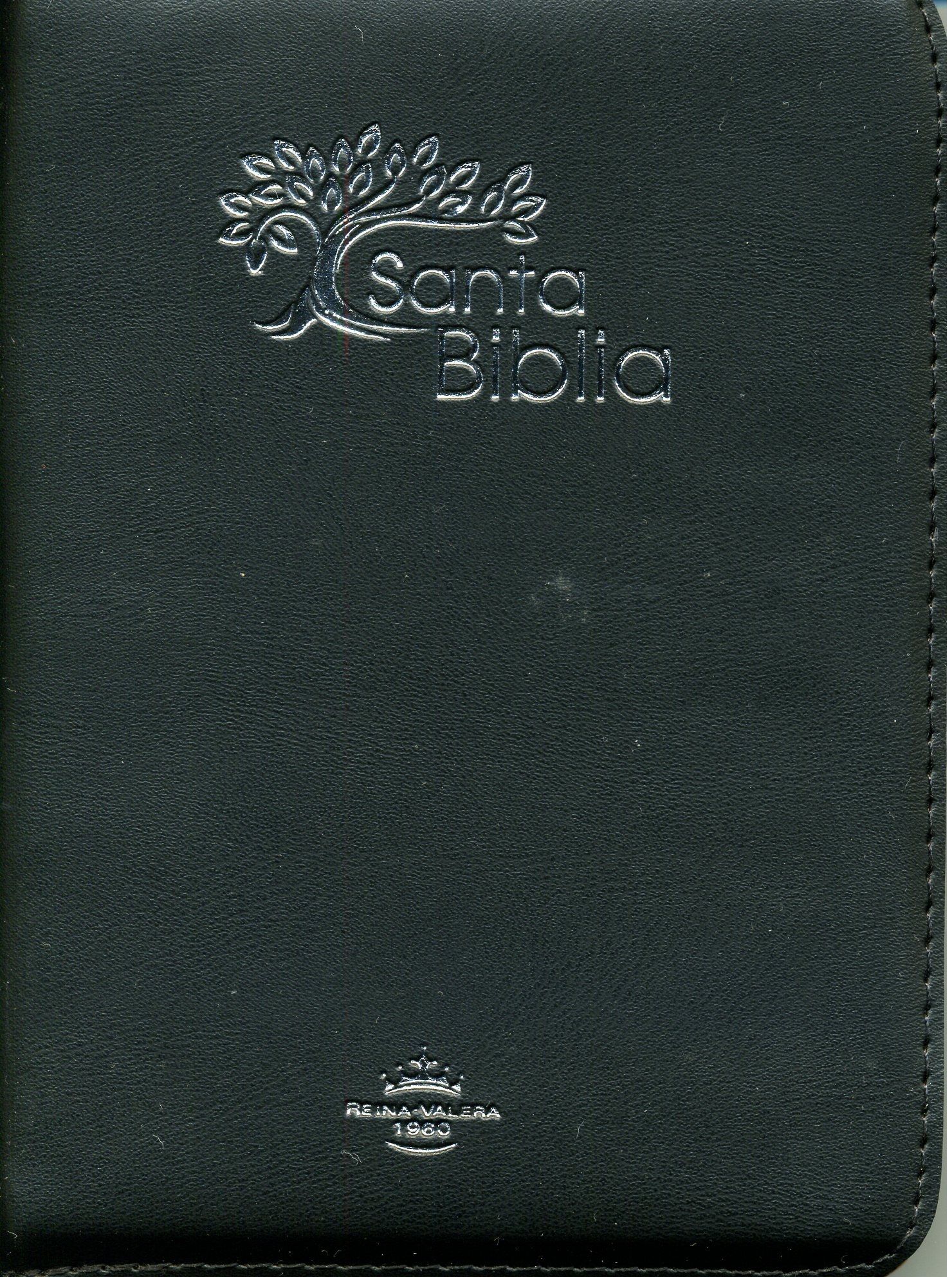 Biblia RVR60 Tamaño 042CZLG Olivo