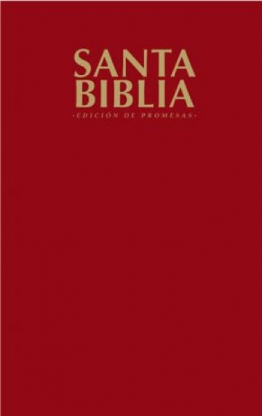 Biblia De Promesas Edición Economica Vino
