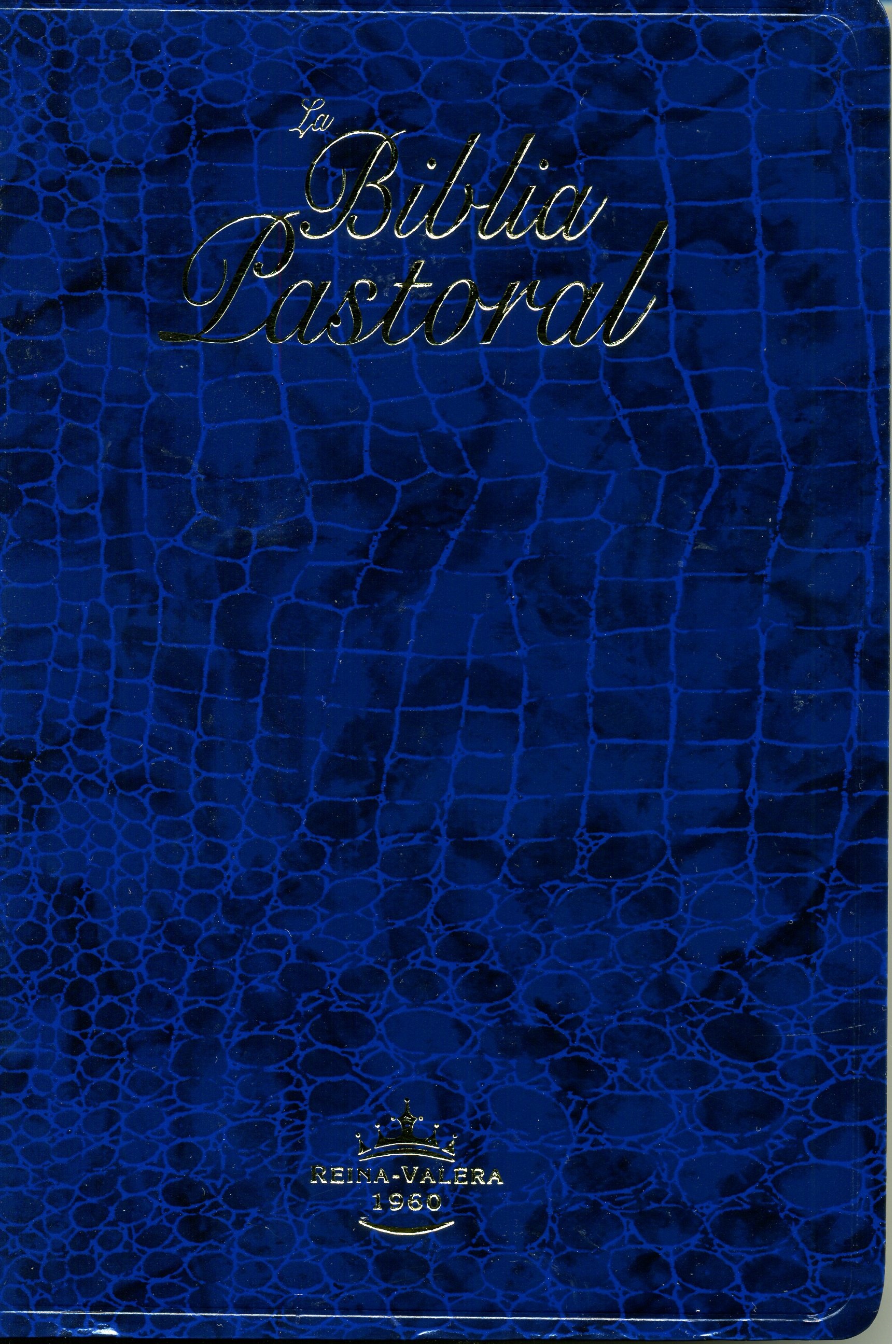 Biblia Tamaño 065CLG Pastoral  Azul