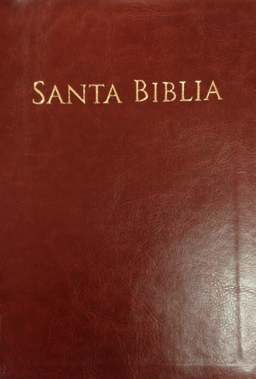 biblia reina valera 1960 letra grande