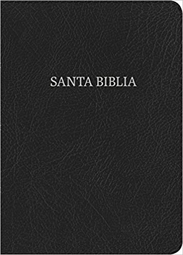 Biblia Tamaño Manual  Negro Piel Fabricada