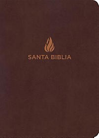 Biblia Tamaño Manual Marrón Piel Fabricada