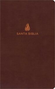Biblia NVI-Ultrafina-Marron