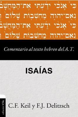 Comentario Al Texto Hebreo Del Antiguo Testamento/Isaias