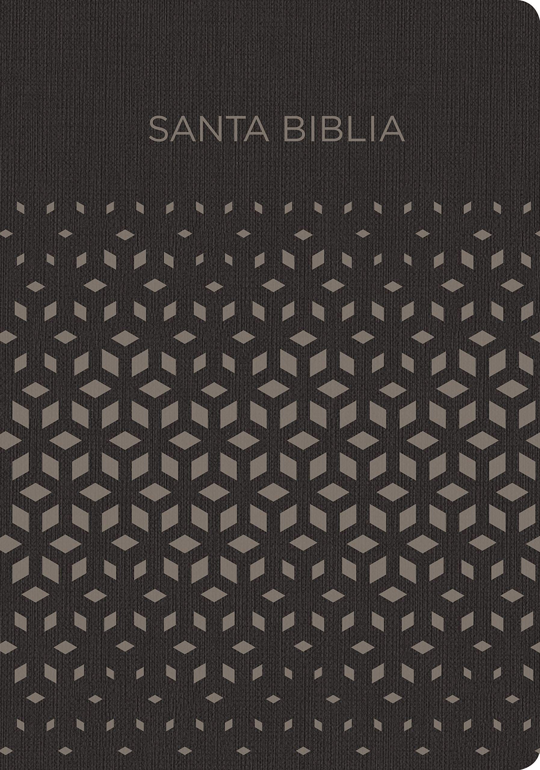 Biblia RVR60 Regalos Y Premios/Negro-Plata/Simil Piel