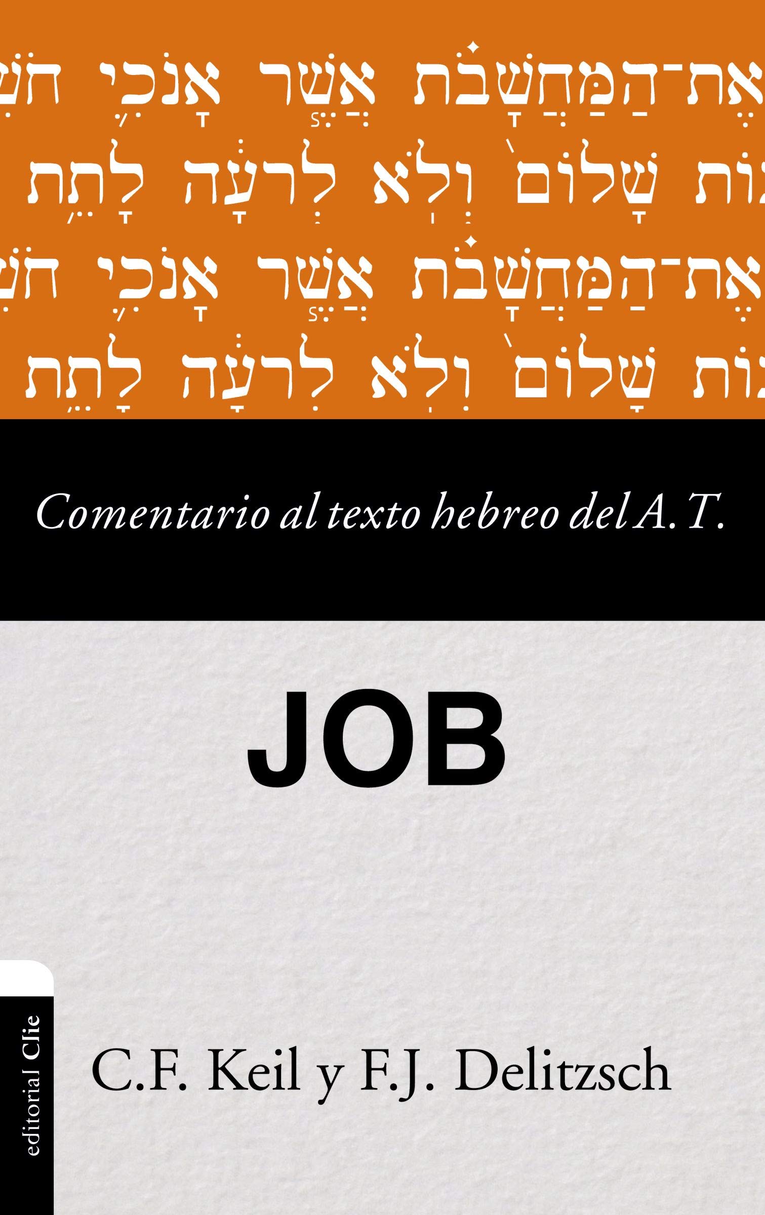 Comentario Al Texto Hebreo Del Antiguo Testamento / Job
