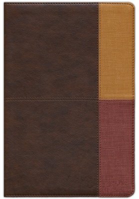 Biblia De Estudio/RVR60/Arcoiris/Cocoa-Terracota/Semil-Piel/Indice/Nueva