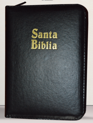 Biblia/ RVR045cZTILM/ Negro Canto Dorado Indice