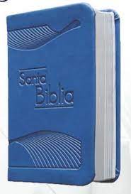 Biblia/RVR015/ Azul/ Canto Plateado Sin Cierre