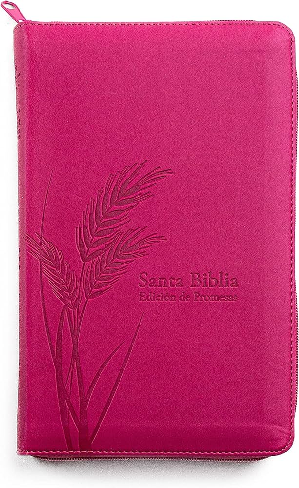 Biblia/RVR60/Promesas/Manual