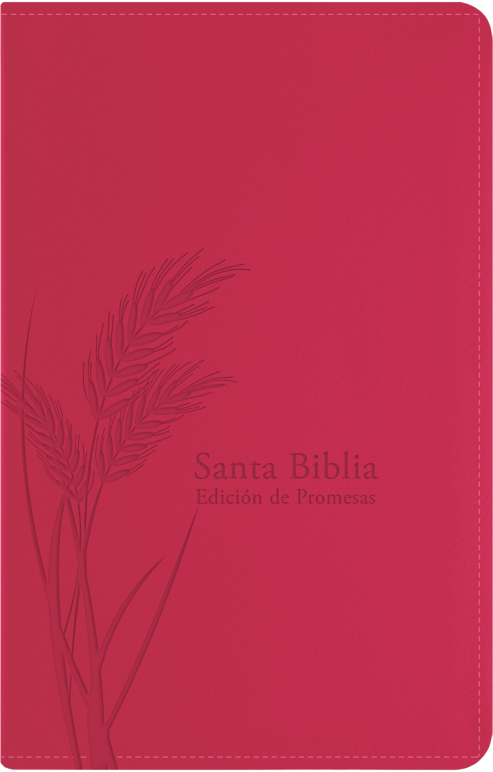 Biblia/RVR60/Promesas/Manual/Imitacion Piel/Cierre/Indice/Fucsia
