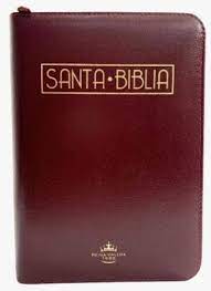 Biblia /RVR025cZTILMa PJR/ Vino tinto