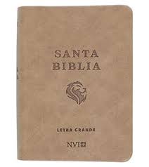 Biblia NVI 020LG/Marron Claro/Letra 8 PT