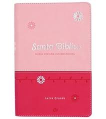 Biblia NVI 060cLG/Fucsia Y Rosa/Letra 11 PT