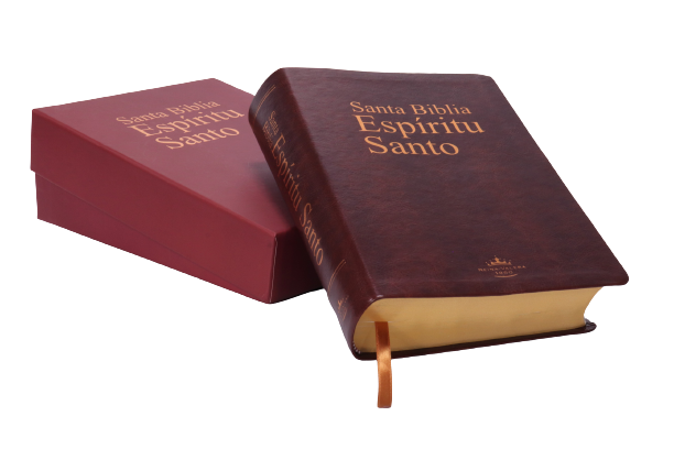 Biblia Espiritu Santo/ Vino Tinto Imitacion Piel