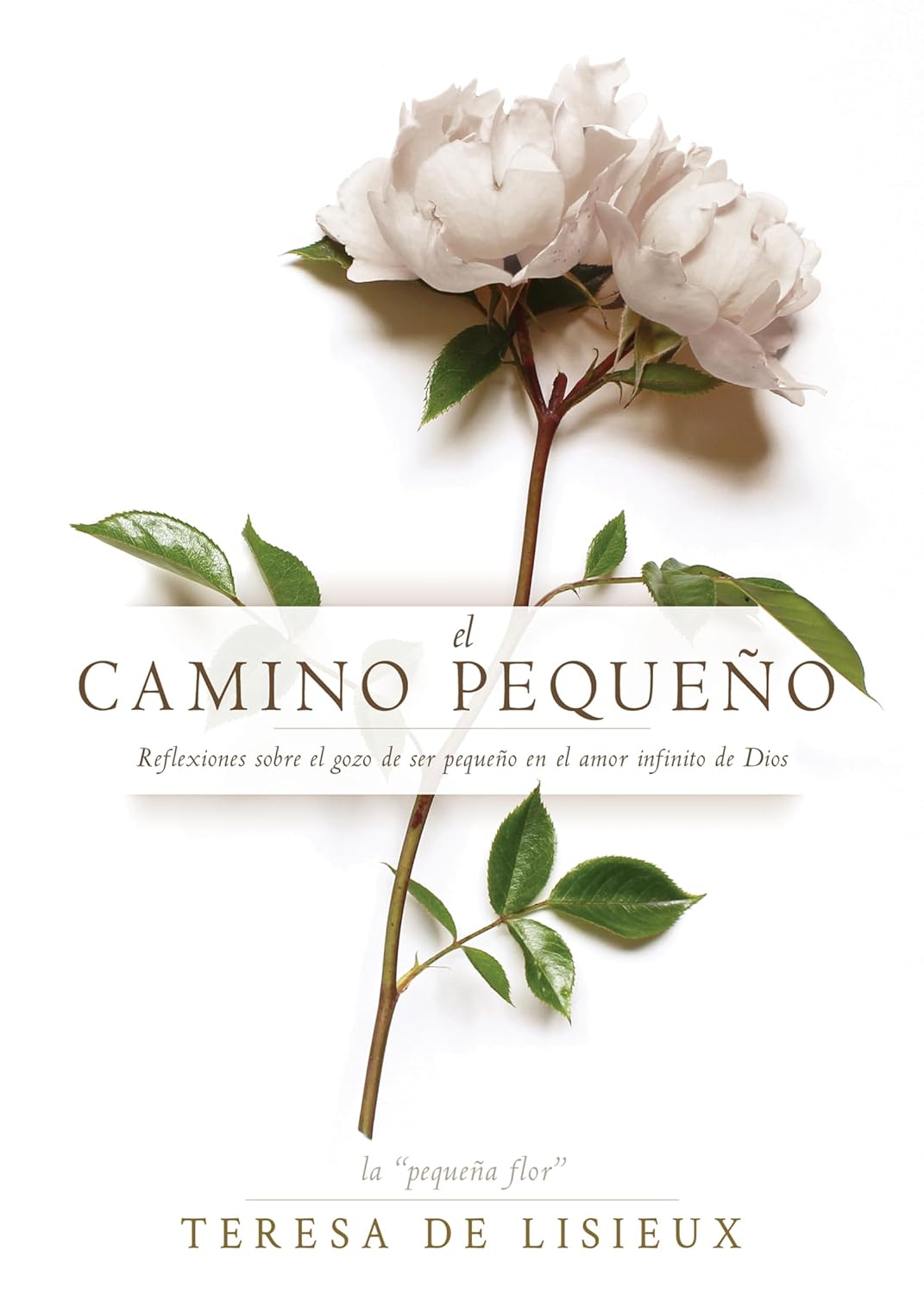 Camino Pequeño El