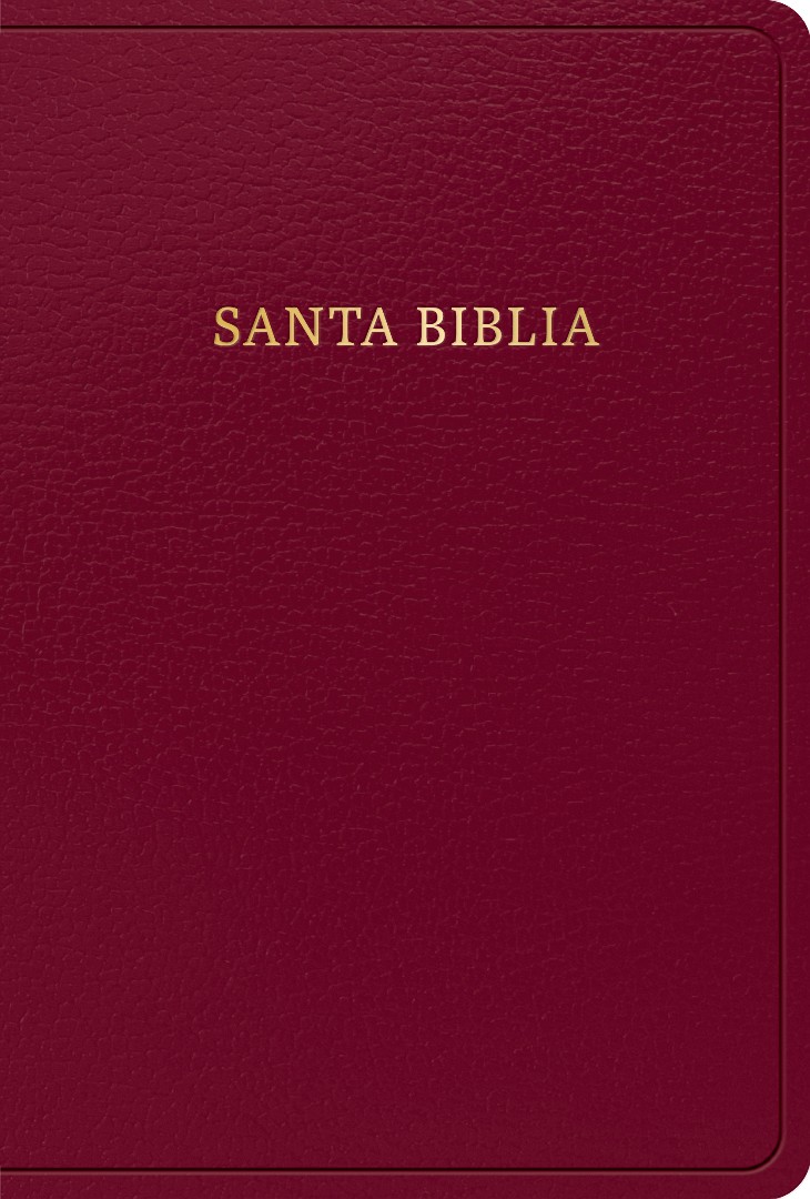Biblia RVR60/Letra Grande Tamaño Manual/Borgoña/Imitacion Piel