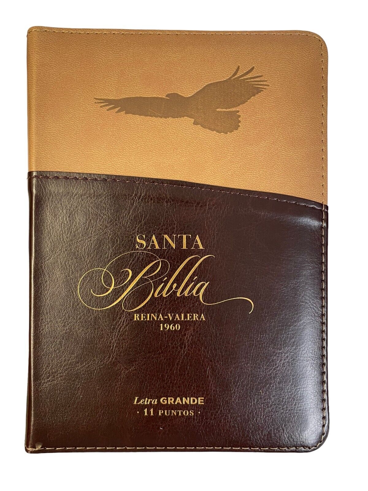 Biblia RVR60/045czti/LG/PJR/Exprésate 6 Águila