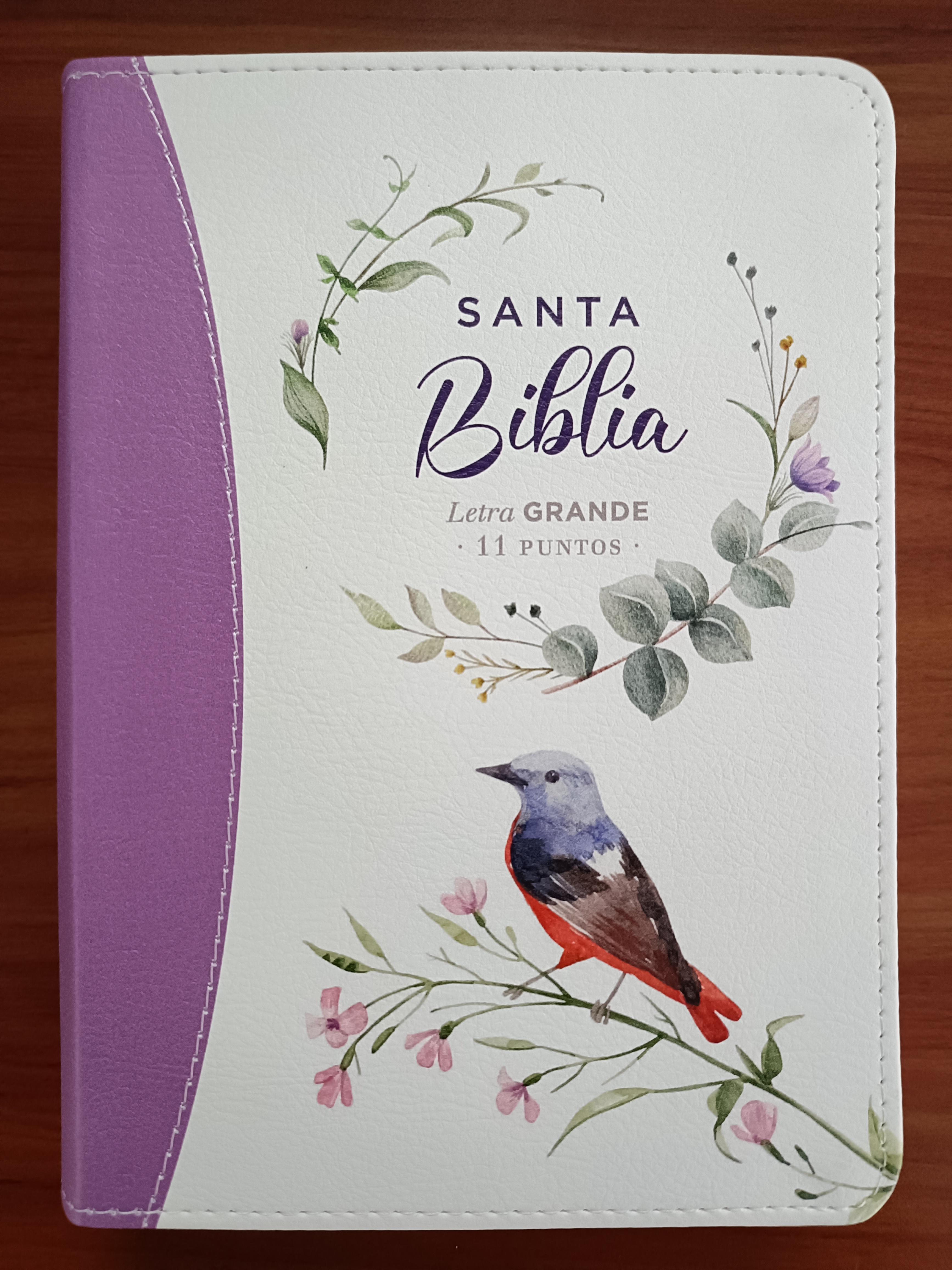 Biblia RVR60/045c/cp/LG/PJR/Coleccion Primaveral Lila Claro