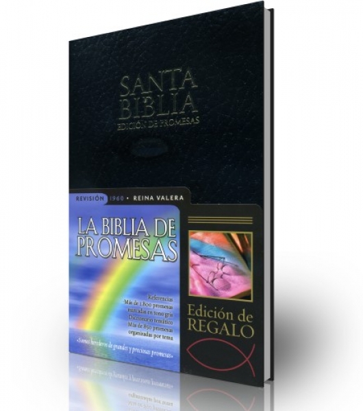 Santa biblia edición de promesas