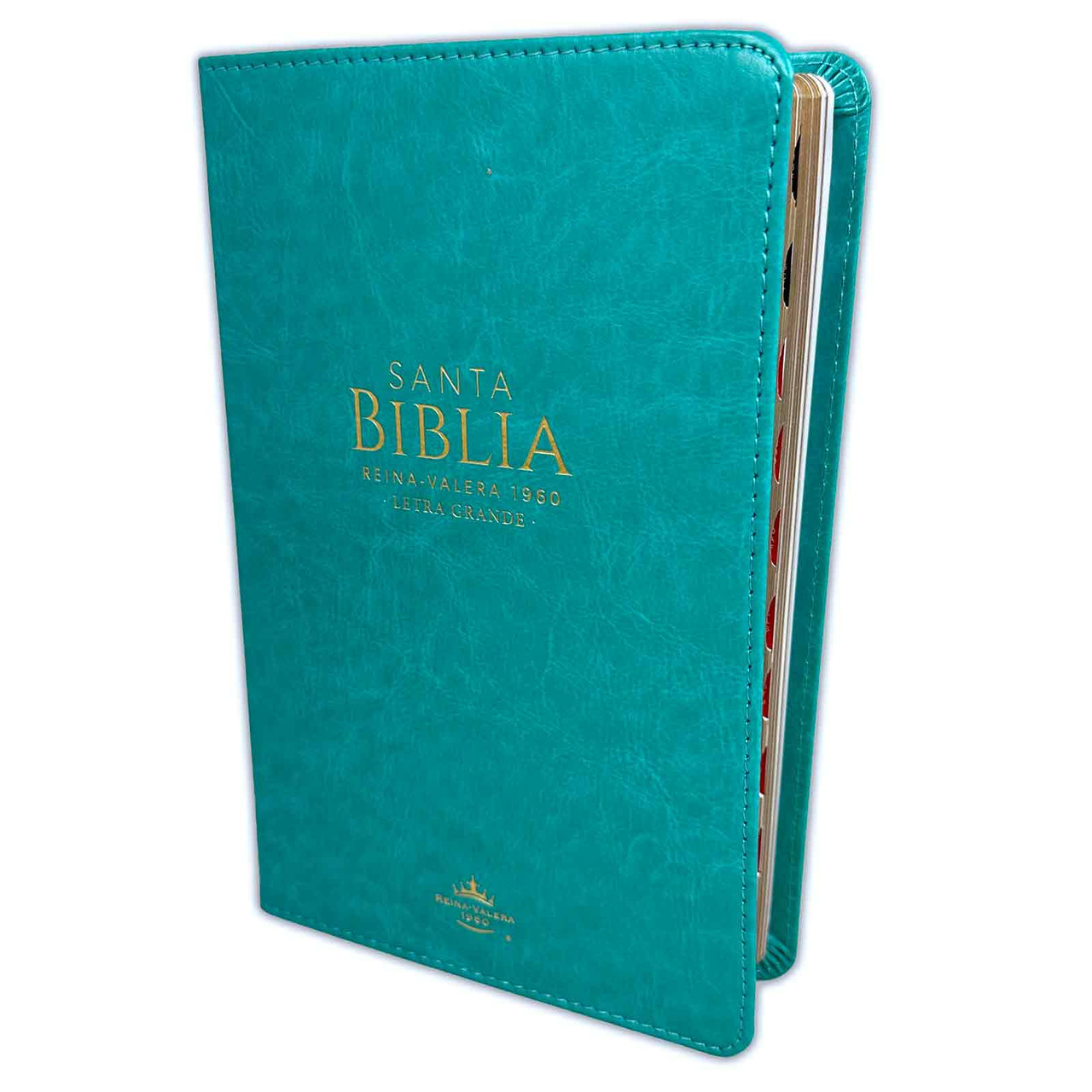 Biblia /RVR6065cti/ LG PJR Clásica Turquesa Índice Canto Dorado