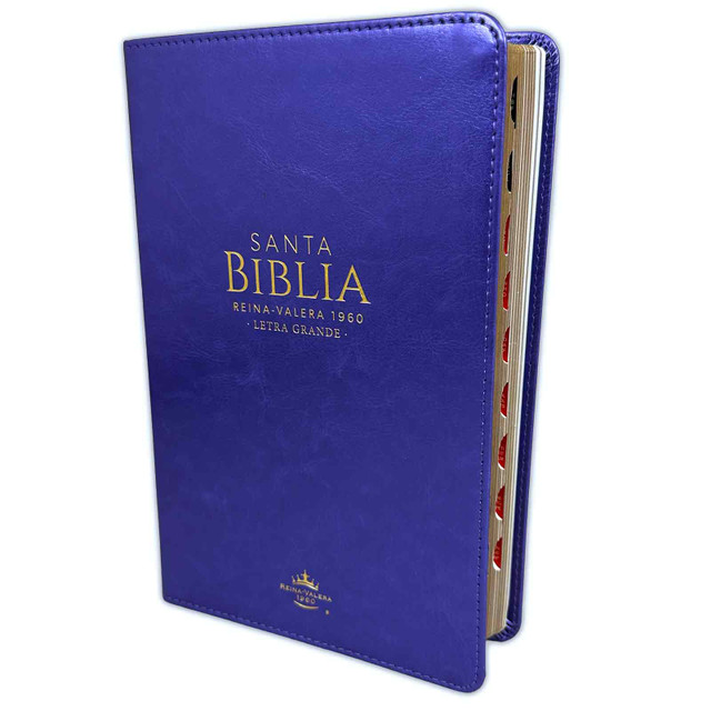Biblia /RVR6065cti/ LG PJR Clásica Lila con Índice Canto Dorado