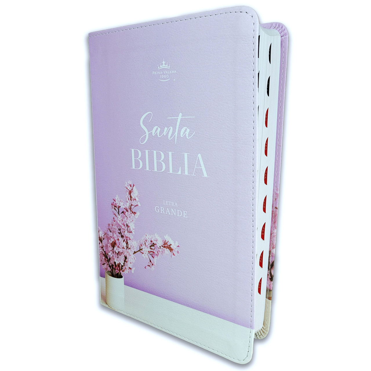 Biblia RVR6065CTI/ Lila Jarron/ Imitacion Ind C- Blanco/ C. Supreme