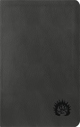 NBLA Biblia de Estudio de La Reforma Condensada