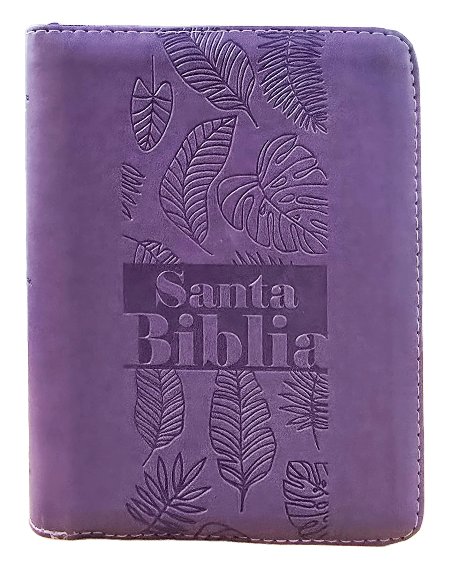 Biblia /RVR046ZLG PJR/Lila Canto Pintado
