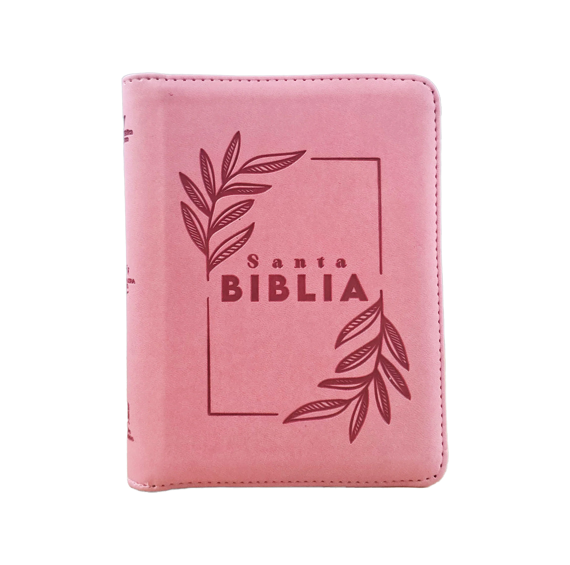 Biblia/ RVR046LGZ PJR/ Rosado Canto Metálico