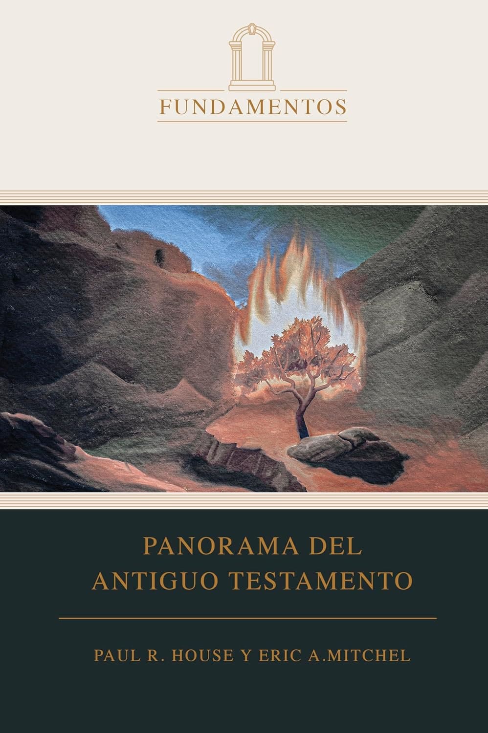 Panorama Del Antiguo Testamento/ Fundamentos