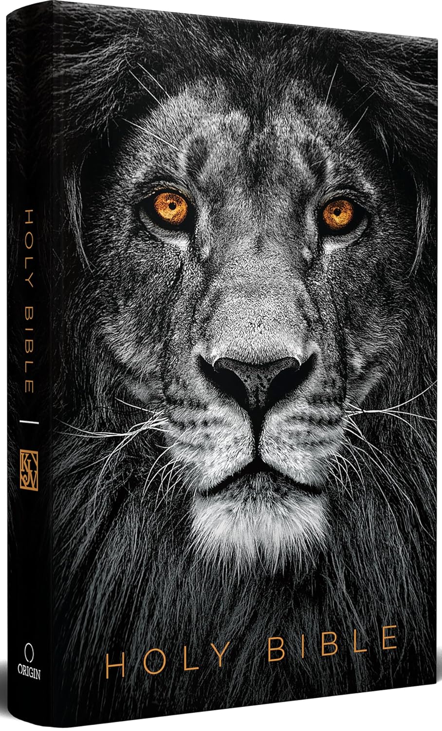 Biblia KJV Holy Bible/ Ingles/ León De Juda Negro TD