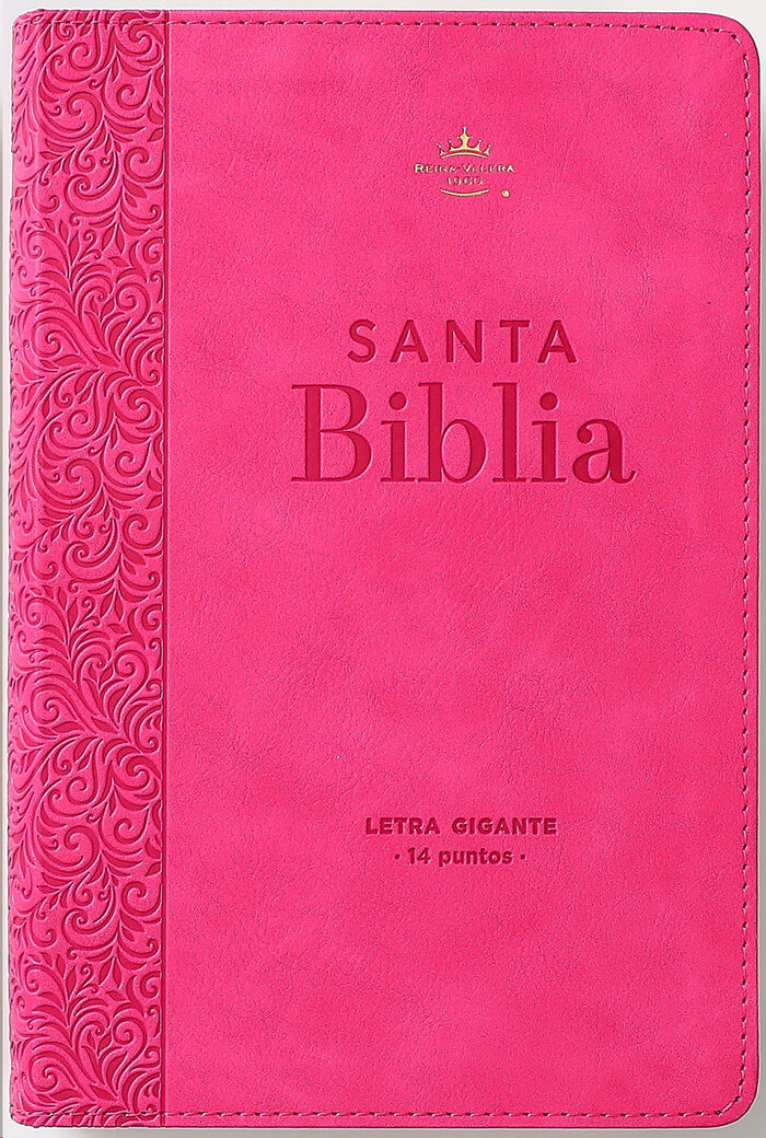 RV1960 Biblia Colección Corinto Rosa Letra Gigante