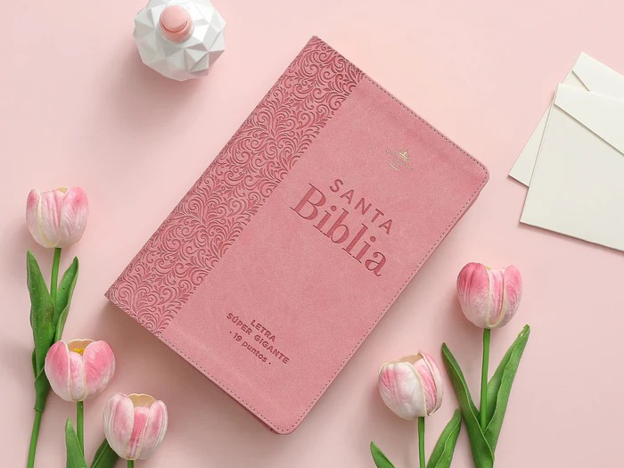 Biblia RVR6088cti/ Rosa/ Super G. 19pts./ Canto Dora. Indice Efeso
