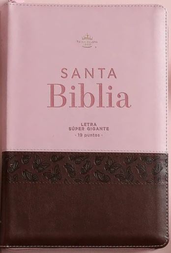 Biblia RVR6088czti LSGi/ 19pts Agora/ Rosa Cafe/ Cierre Ind.