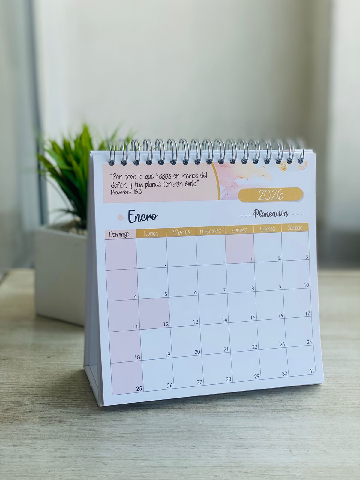 Calendario Tipo Planeador Mujer/ Paper Ink