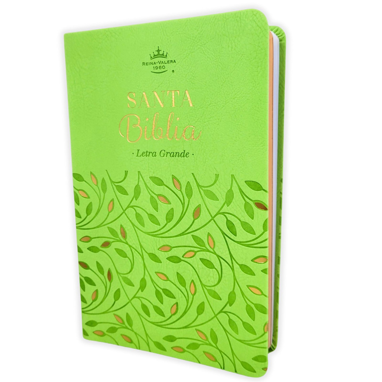 Biblia RVR60c Verde Olivo /Canto Pintado/ Premios Y Regalos