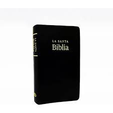 Biblia Reina Valera SBT/ Imitacion