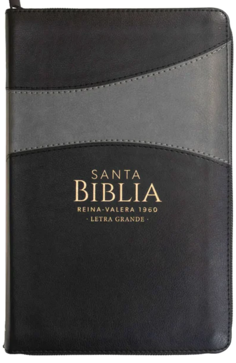 Biblia RVR6065 cz LG PJR Clasica Bitono Negro/Gris