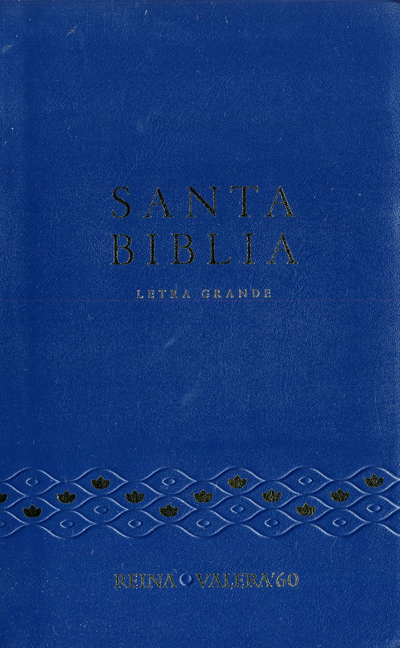 Santa biblia letra grande
