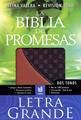 Biblia de promesas letra grande