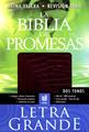 Biblia de las promesas letra grande vino/croc