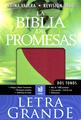 Biblia de las promesas letra grande rosa-vino/verde-limón